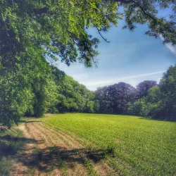 Park Spanderswoud - Bussum