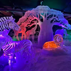 De IJsselhallen - Capelle aan den IJssel