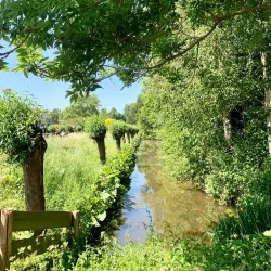 IJsselpark - Capelle aan den IJssel