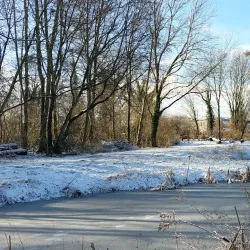 IJsselpark - Capelle aan den IJssel
