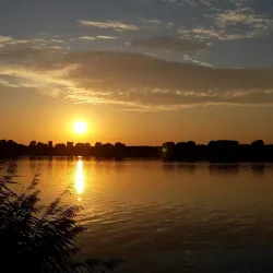 Kralingse Bos and Lake - Capelle aan den IJssel