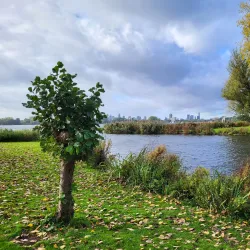 Kralingse Bos and Lake - Capelle aan den IJssel