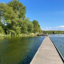 Kralingse Bos and Lake - Capelle aan den IJssel