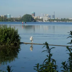 Kralingse Bos and Lake - Capelle aan den IJssel