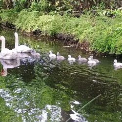 Rotterdamse Golf Club - Capelle aan den IJssel