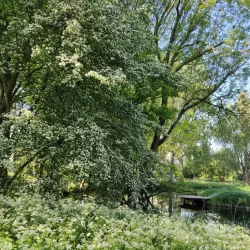 Slotpark - Capelle aan den IJssel