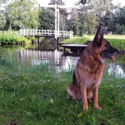 Slotpark - Capelle aan den IJssel