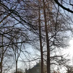 Slotpark - Capelle aan den IJssel