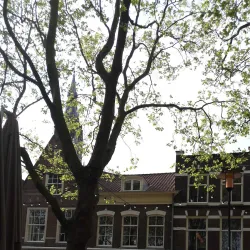 Beestenmarkt - Delft