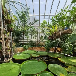 Botanical Garden TU Delft - Delft