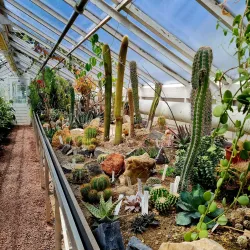 Botanical Garden TU Delft - Delft