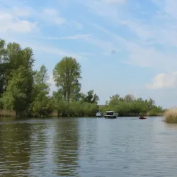 Biesbosch National Park - Dordrecht