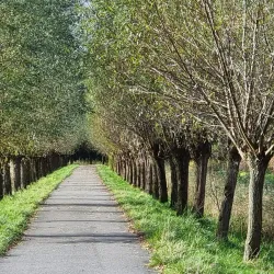 Biesbosch National Park - Dordrecht