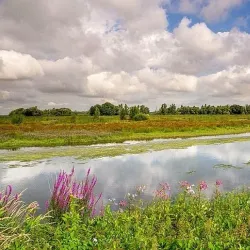 Biesbosch National Park - Dordrecht