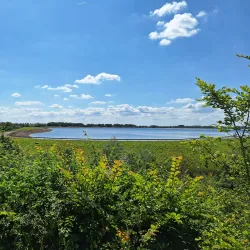 Biesbosch National Park - Dordrecht