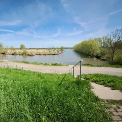 Biesbosch National Park - Dordrecht