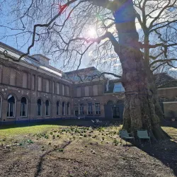 Dordrecht Museum - Dordrecht