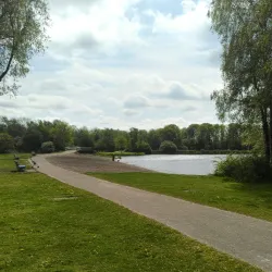 De Groene Ster - Drachten