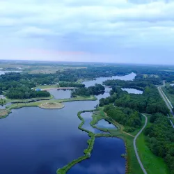 De Groene Ster - Drachten