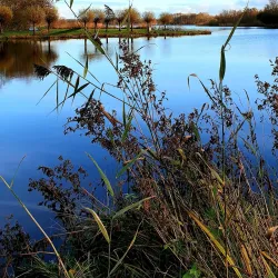 De Groene Ster - Drachten