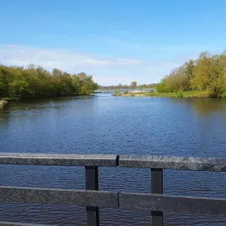De Groene Ster - Drachten