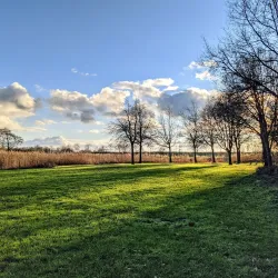 De Groene Ster - Drachten