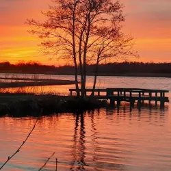 De Groene Ster - Drachten