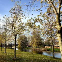 Drachten Canal Walks - Drachten