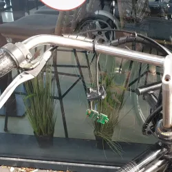 Drachten Market - Drachten