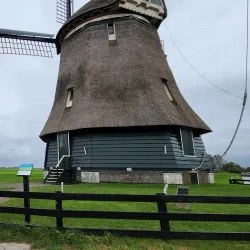 Edam Windmill (De Grote Molen) - Edam