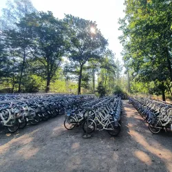 De Hoge Veluwe National Park Cycling Trails - Ede