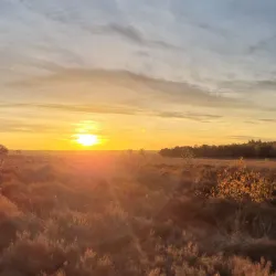 Ginkelse Heide - Ede
