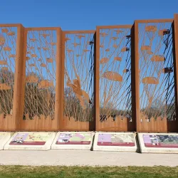 Ginkelse Heide - Ede