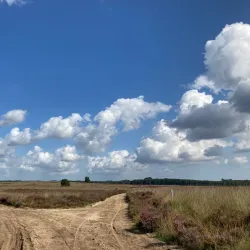 Ginkelse Heide - Ede