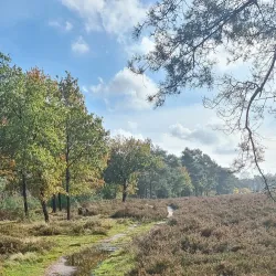 Ginkelse Heide - Ede