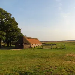 Ginkelse Heide - Ede