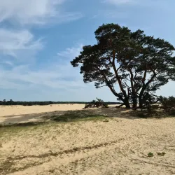Hoge Veluwe National Park - Ede