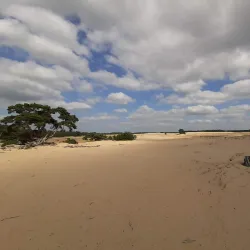 Hoge Veluwe National Park - Ede