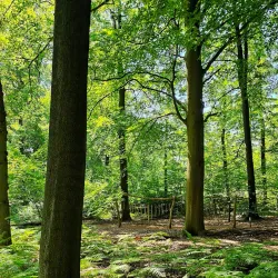 Oostereng Church - Ede