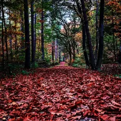 Oostereng Church - Ede