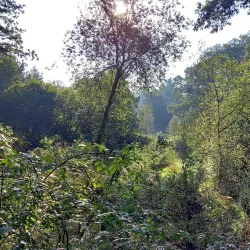 Oostereng Church - Ede