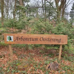 Oostereng Church - Ede