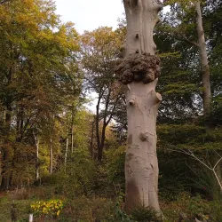 Oostereng Church - Ede