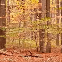 Oostereng Church - Ede