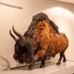 De Museumfabriek - Enschede