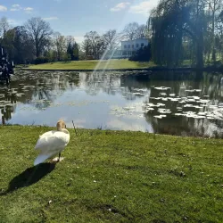 Volkspark - Enschede