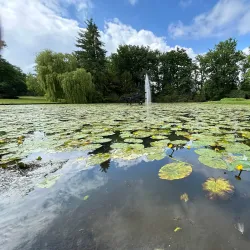 Volkspark - Enschede