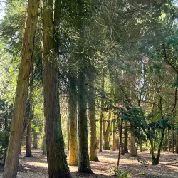 Volkspark - Enschede