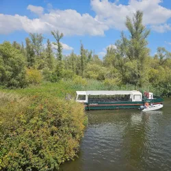 De Biesbosch National Park (nearby) - Etten-Leur