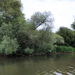 De Biesbosch National Park (nearby) - Etten-Leur